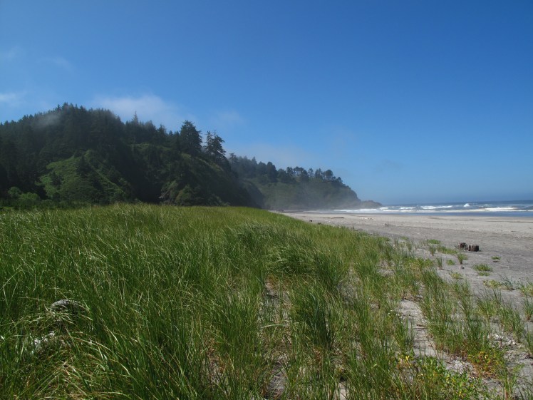 Washington coast north of North Head Lighthouse.