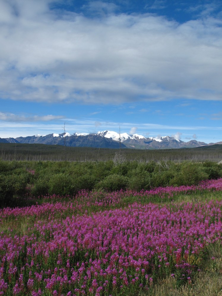 St Elias Mountains