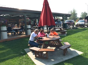 Delta Junction Drive-In